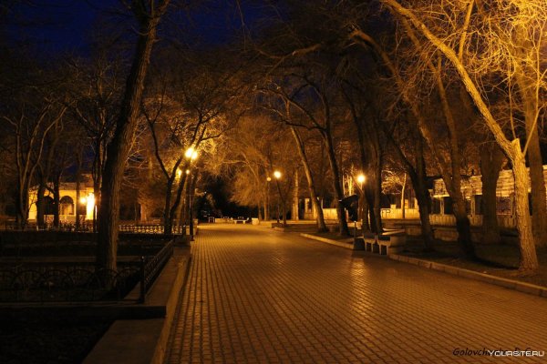 Курск ночь аллея