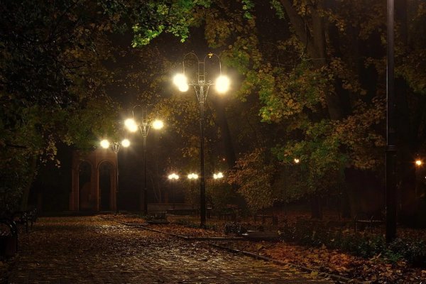 Осень вечер