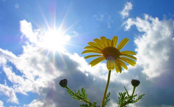 Жаркий Солнечный день