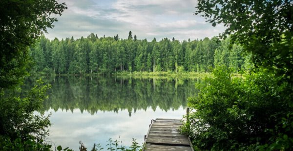 Бушковский лес озеро шайтан