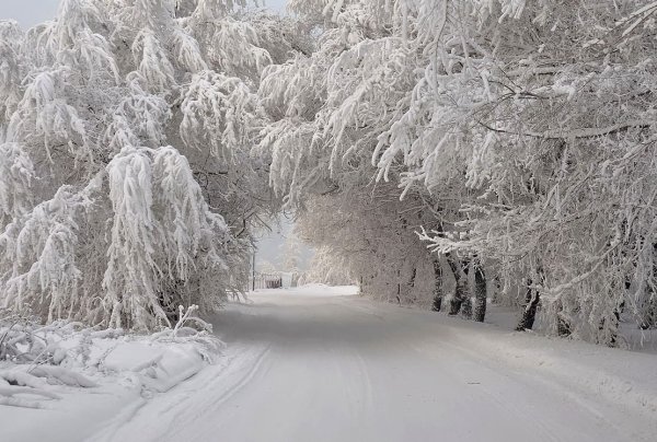 Красивый снегопад