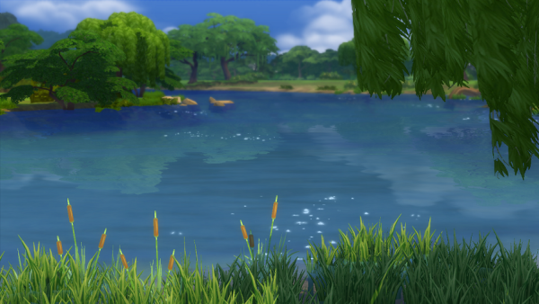 Дети на озере