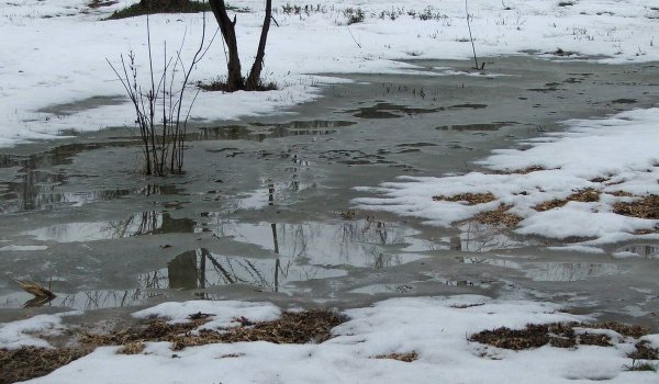 Василиса вешней воды указательница 23 марта