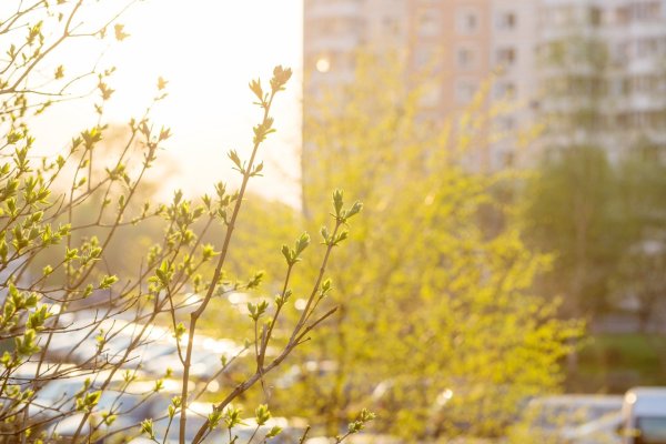 Весна в городе