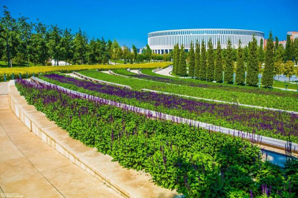 Краснодар летний парк Галицкого