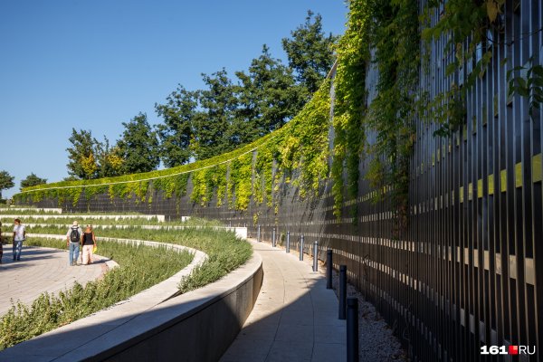 Парк Галицкого Озеленение