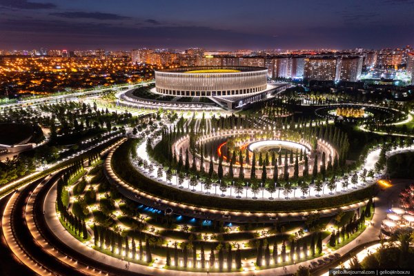 Парк Галицкого в Краснодаре баобаб