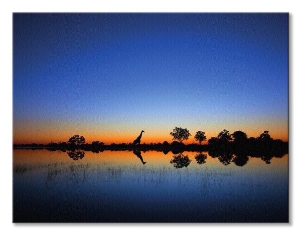 Расположение озера Чад