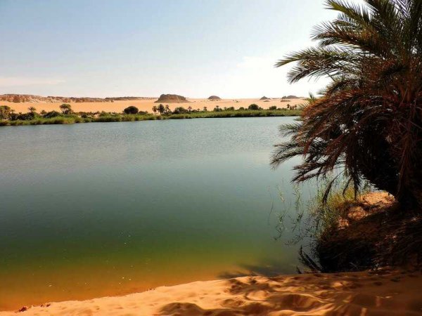 Камерун озеро Чад