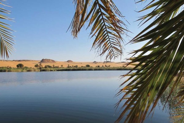 Камерун озеро Чад