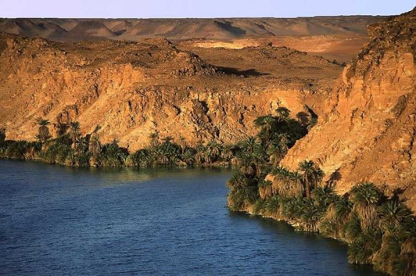 Озеро Чад в Африке