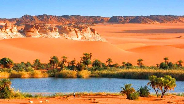 Камерун озеро Чад