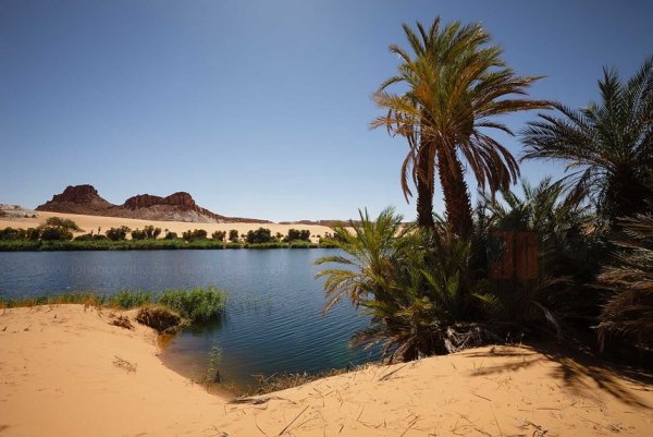 Нигерия озеро Чад