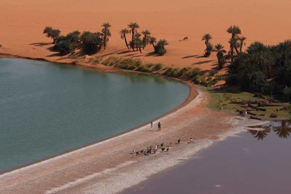 Нигерия озеро Чад