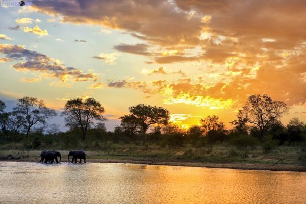 Нигерия озеро Чад