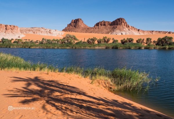 Унианга Чад