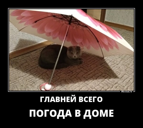 Главней всего погода в доме прикол