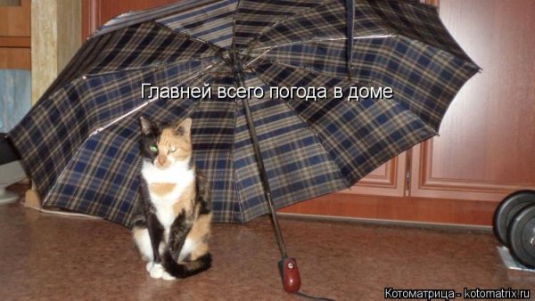 Важней всего погода