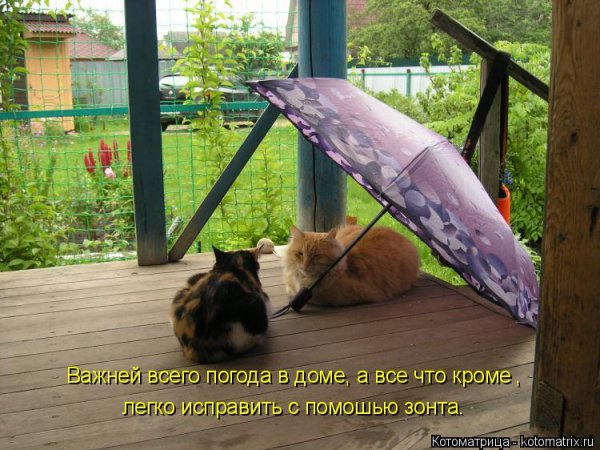 Погода в доме