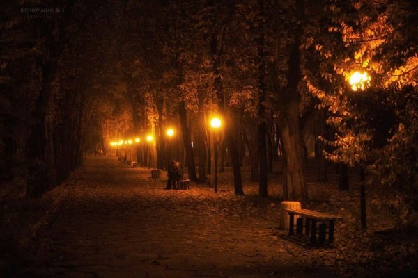 Осенний парк вечером