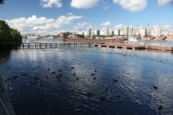 Парк Северное Тушино