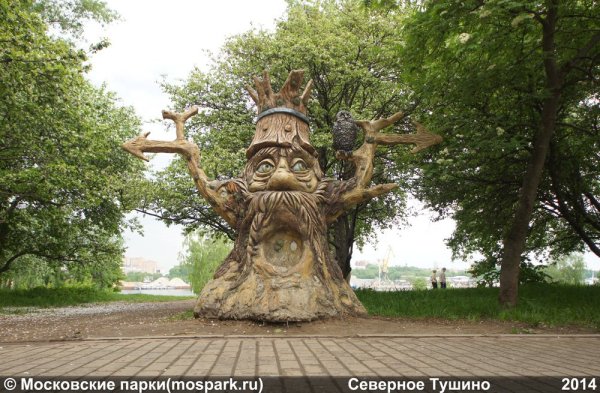 Парк Северное Тушино основание