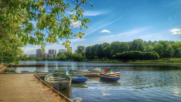 Парк Северное Тушино панорама