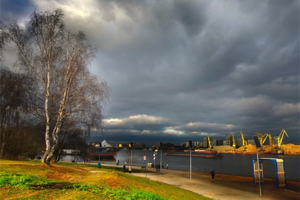 Парк Северное Тушино