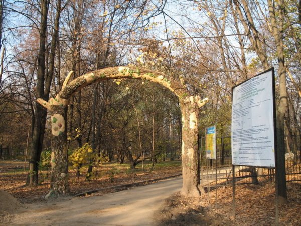 Парк Южное Тушино