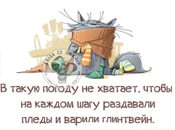 Высказывания про погоду прикольные