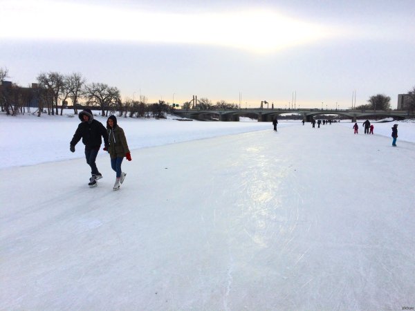 Виннипег каток