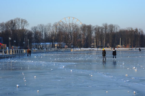 Каток на Суздальском озере