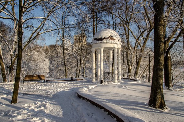 Парк Знаменка зимой