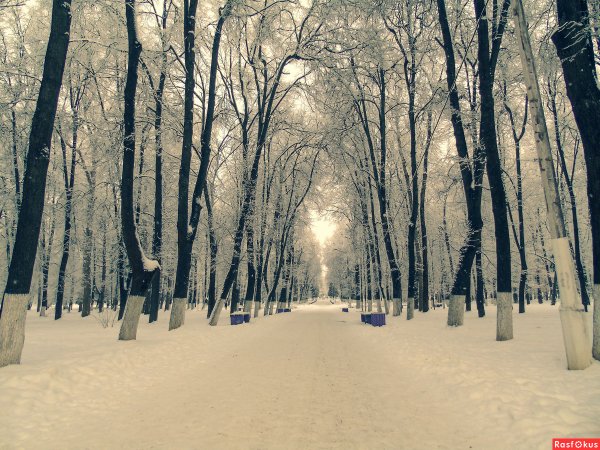 Парк мира Коломна зимой