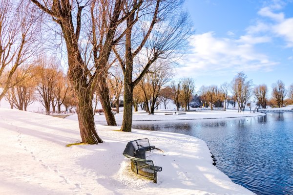 Зима природа парк