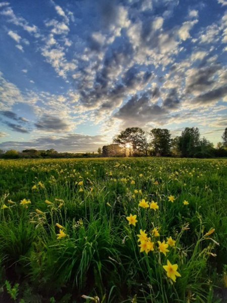 Хорошая погода