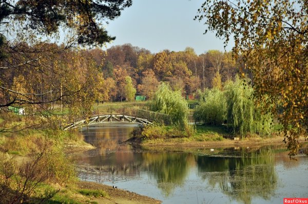 Парк Лосиный остров Москва
