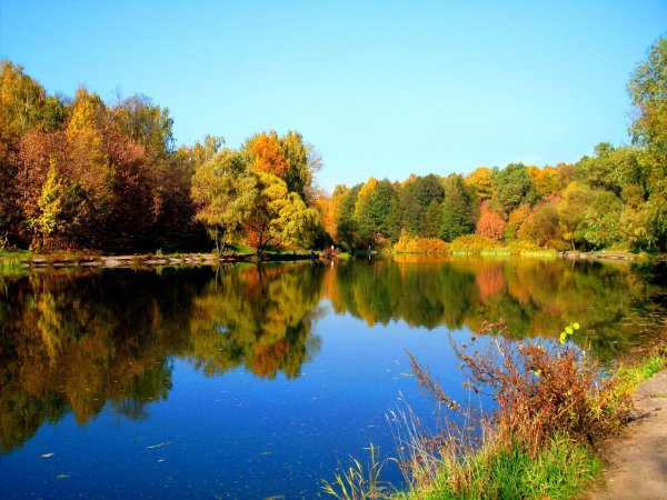 Лосиный остров национальный парк Москва
