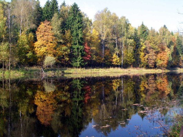 Парк заповедник Лосиный остров