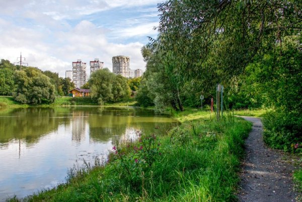 Парк Лосиный остров