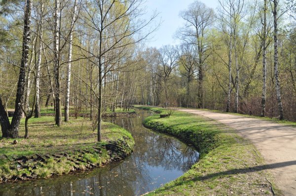 Мытищи парк Лосиный остров национальный