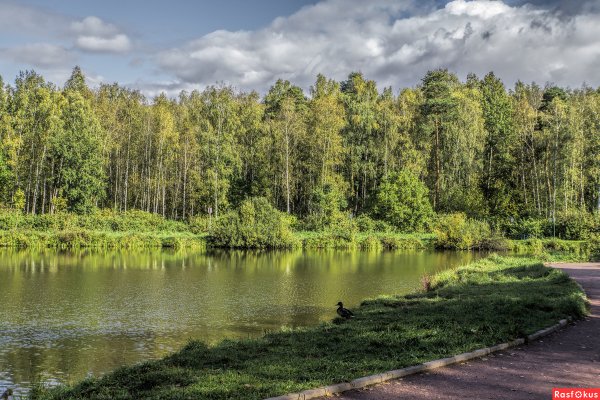 Лосиный остров Мытищи