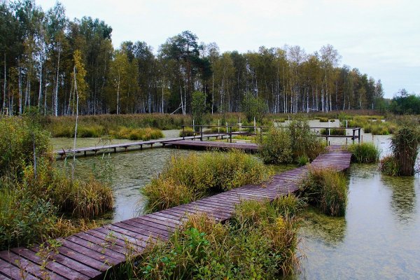 Экотропа Лосиный остров