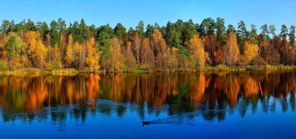 Река Пехорка Лосиный остров