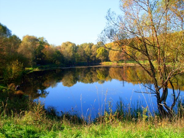 Лосиный остров национальный парк Москва