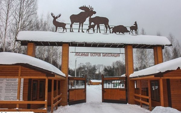 Парк заповедник Лосиный остров