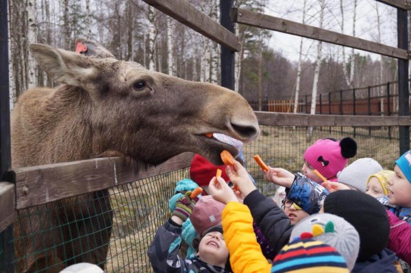 Национальный парк Лосиный остров лосиная биостанция