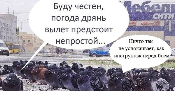 Погода дрянь