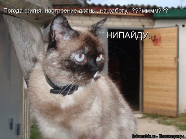 Настроение дрянь