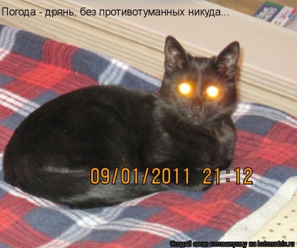 Погода дрянь